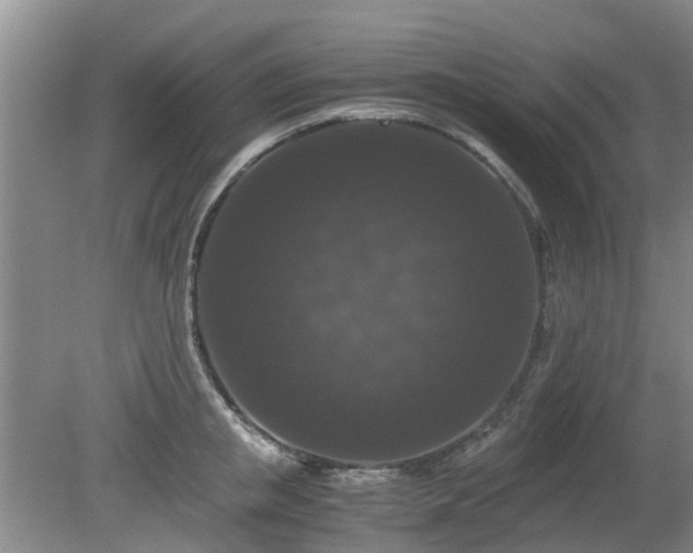 X0000081390853200701182230