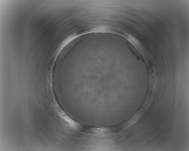 X0000081390854200701182230