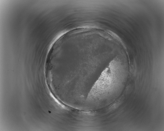 X0000081390855200701182230