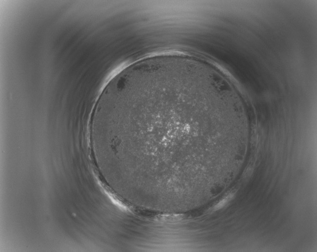 X0000081390858200701182230