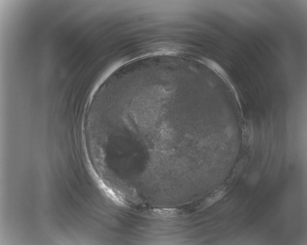 X0000081390859200701182230