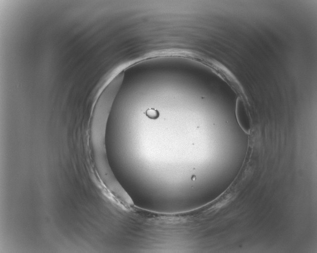 X0000081390860200701182230