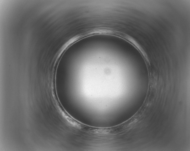 X0000081390861200701182230