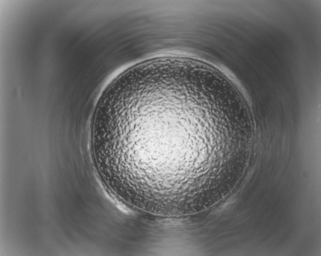 X0000081390862200701182230