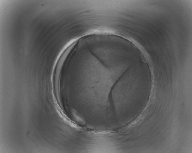 X0000081390864200701182230