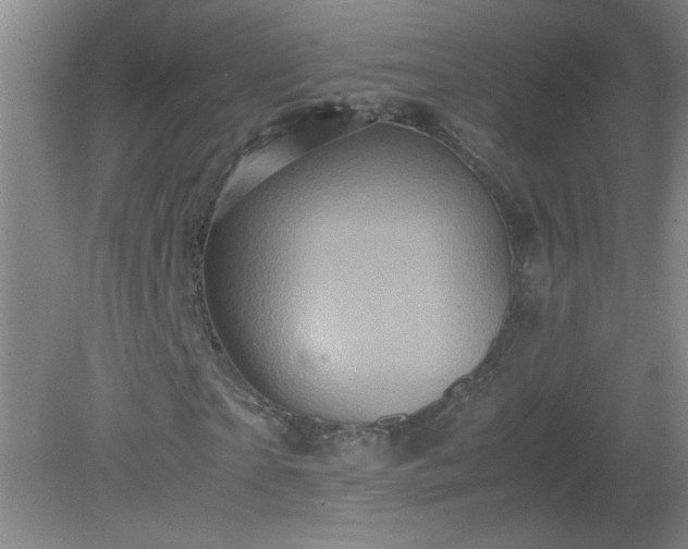 X0000081390865200701182229