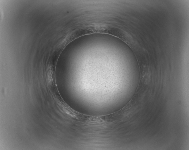 X0000081390866200701182229