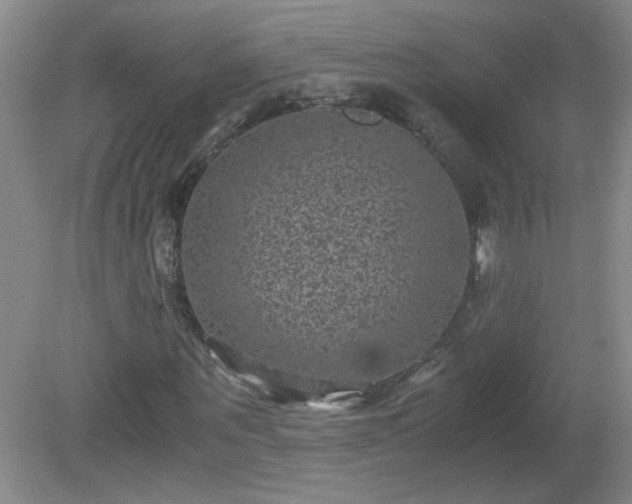 X0000081390867200701182229