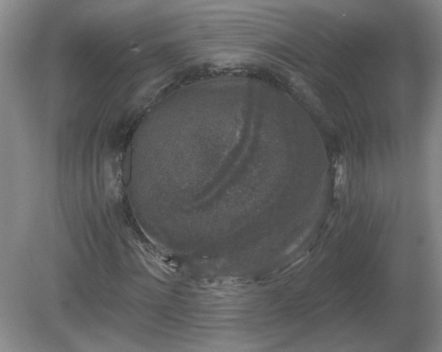 X0000081390868200701182229