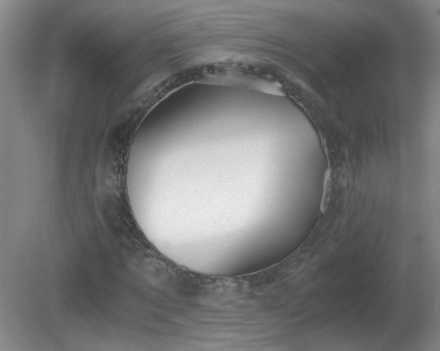 X0000081390869200701182229