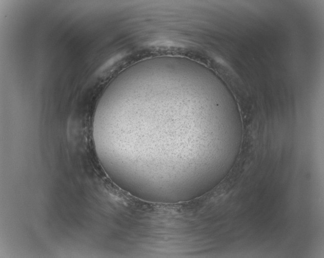 X0000081390870200701182229