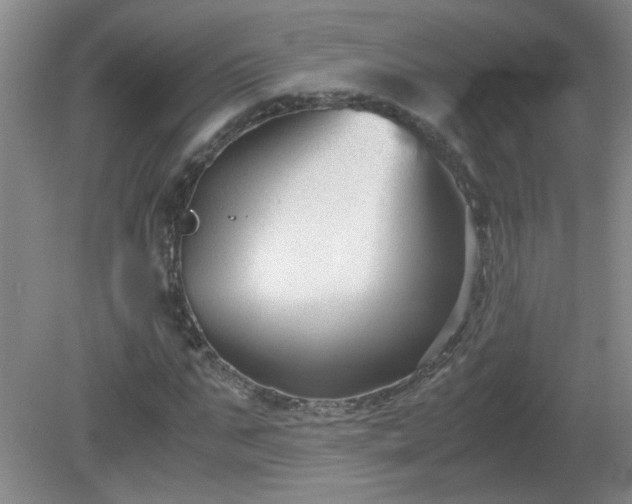 X0000081390871200701182229