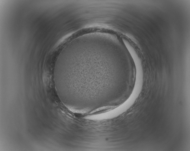 X0000081390872200701182229