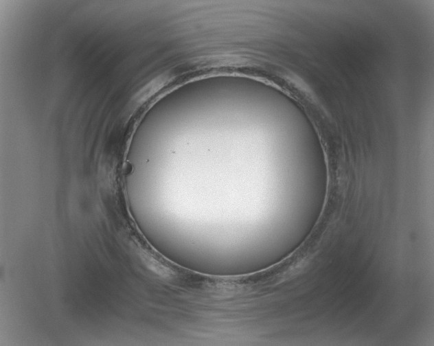 X0000081390873200701182229