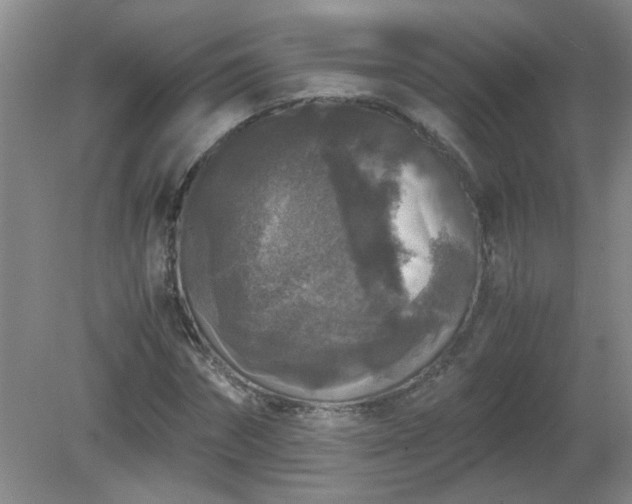 X0000081390874200701182229