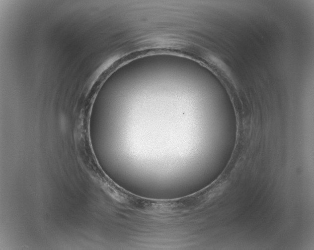 X0000081390875200701182229