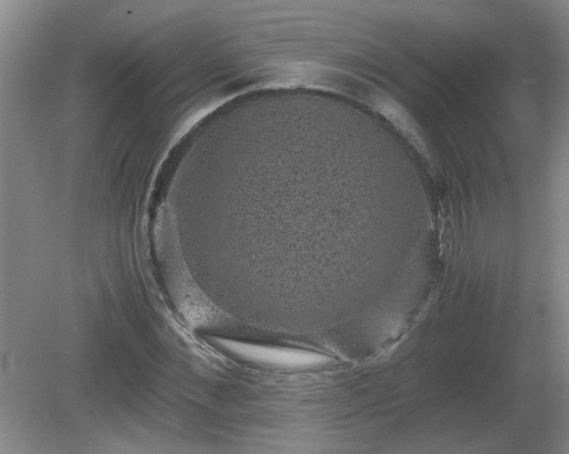 X0000081390876200701182229