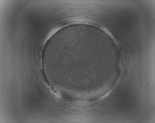 X0000081390877200701182229