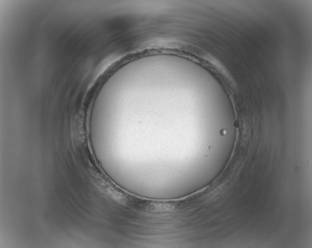 X0000081390878200701182229