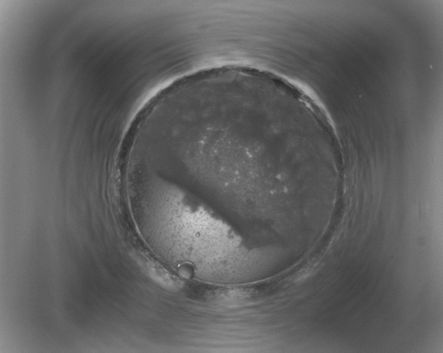 X0000081390879200701182229