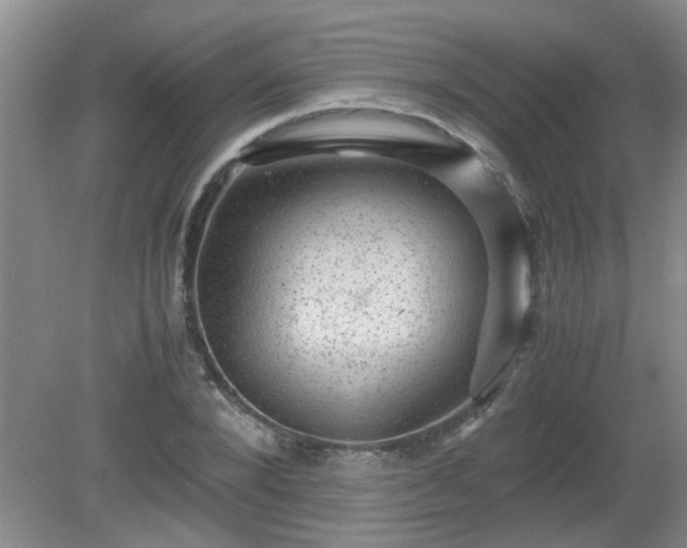 X0000081390880200701182229