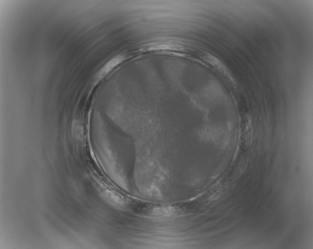 X0000081390882200701182229