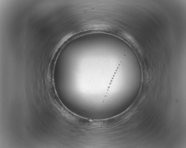 X0000081390883200701182229