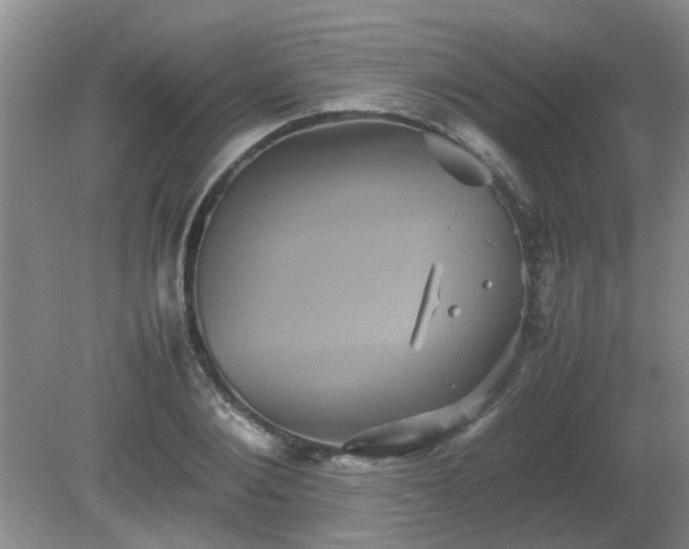 X0000081390884200701182229