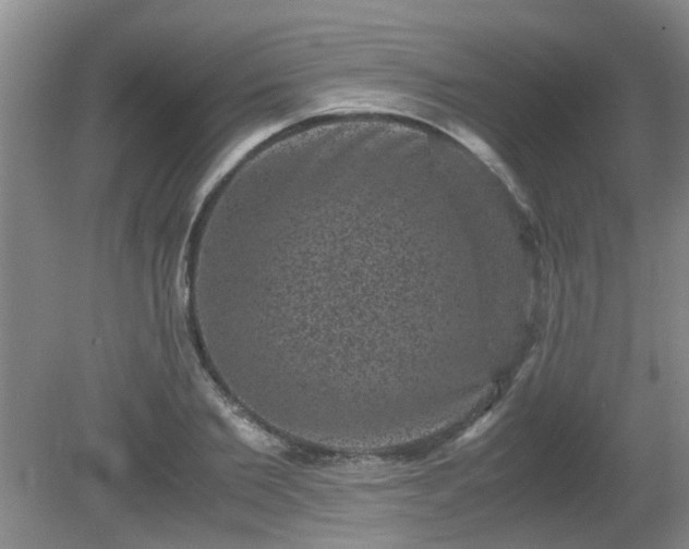 X0000081390885200701182229