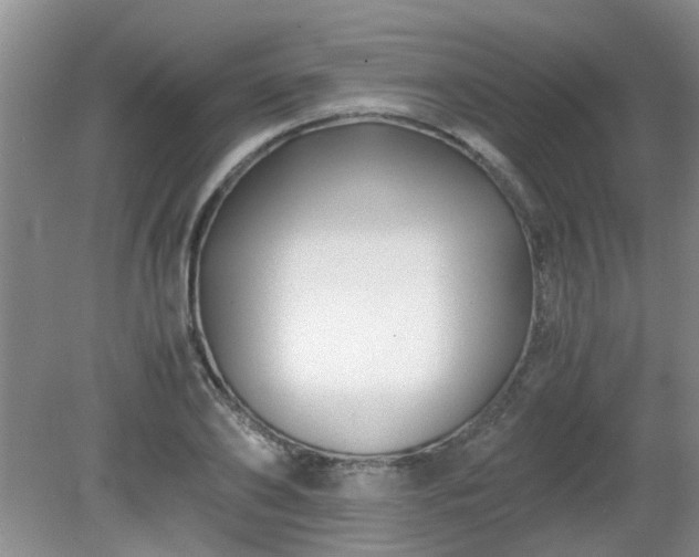 X0000081390886200701182229