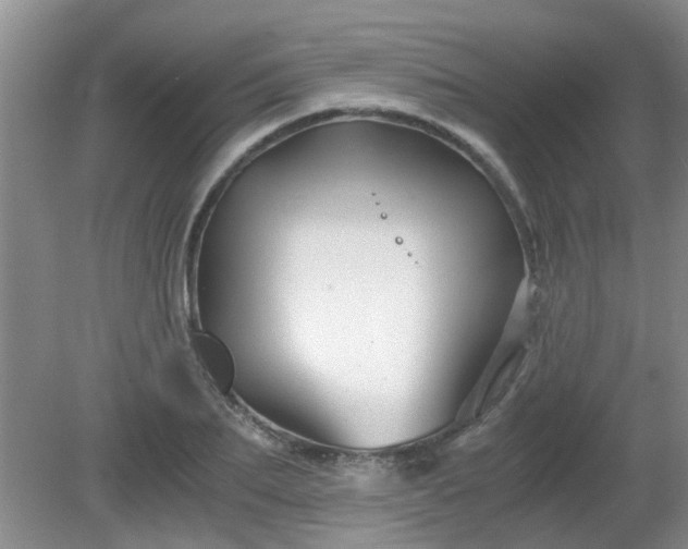 X0000081390887200701182229