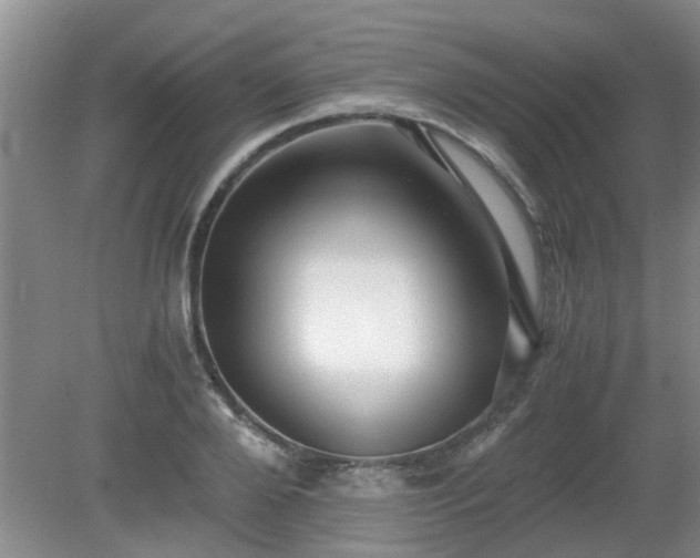 X0000081390888200701182229