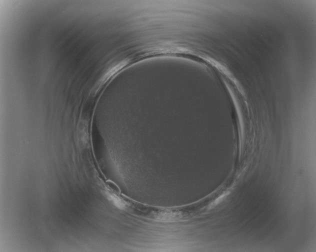 X0000081390889200701182229