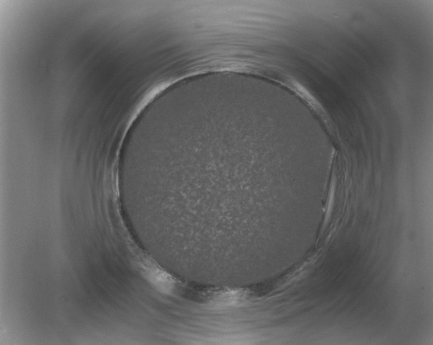 X0000081390891200701182229