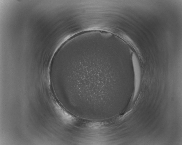 X0000081390892200701182229