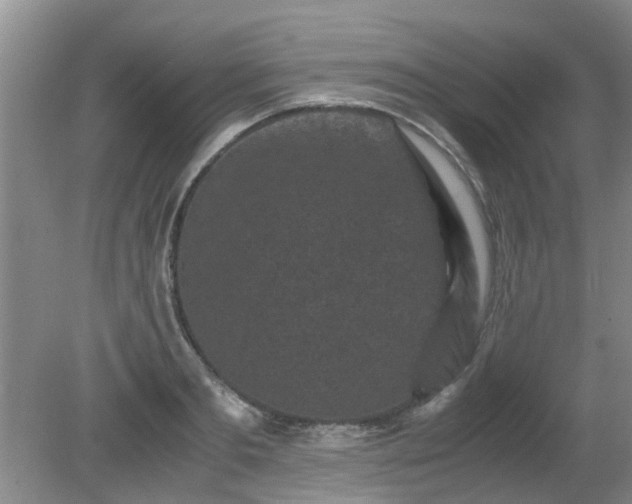 X0000081390893200701182229