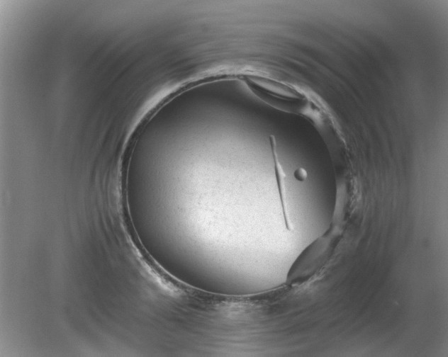 X0000081390894200701182229