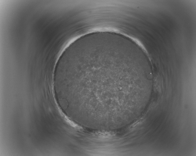 X0000081390895200701182229