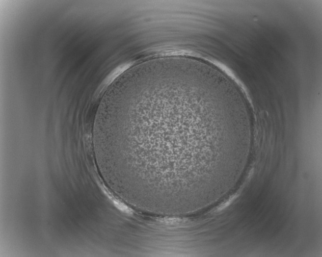 X0000081390897200701182229