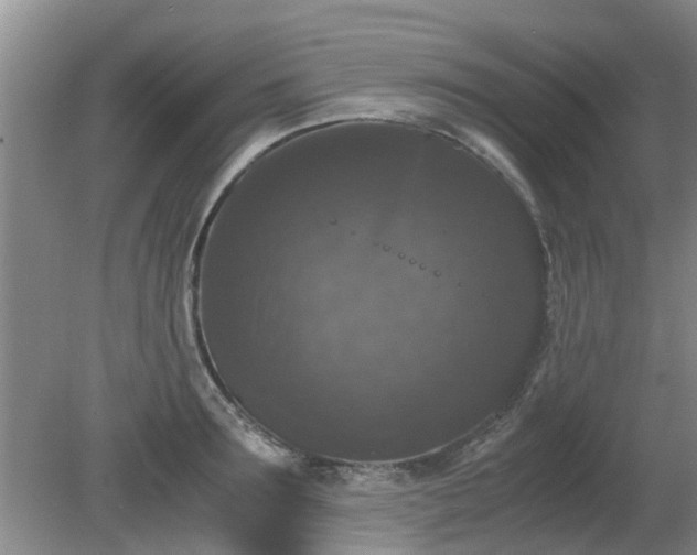 X0000081390899200701182229