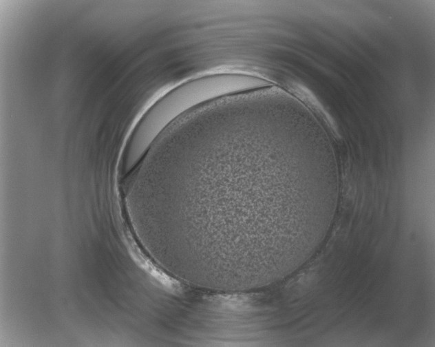 X0000081390900200701182229