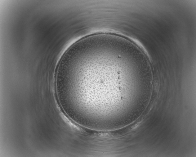 X0000081390903200701182229