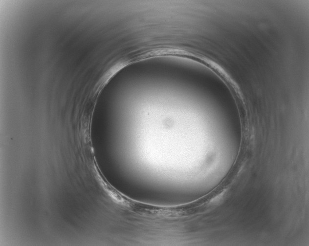 X0000081390905200701182229