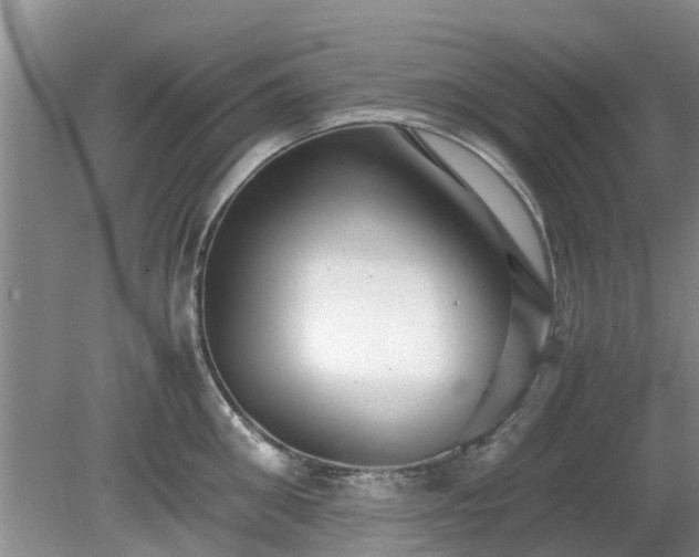 X0000081390906200701182229