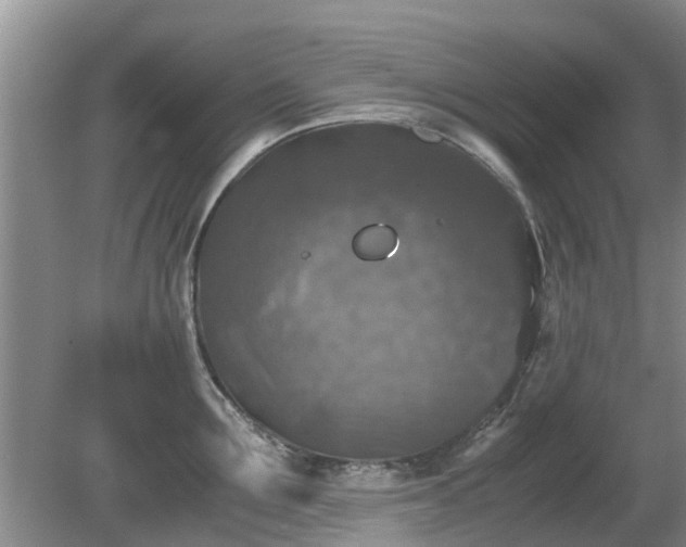 X0000081390907200701182229