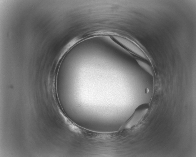 X0000081390909200701182229