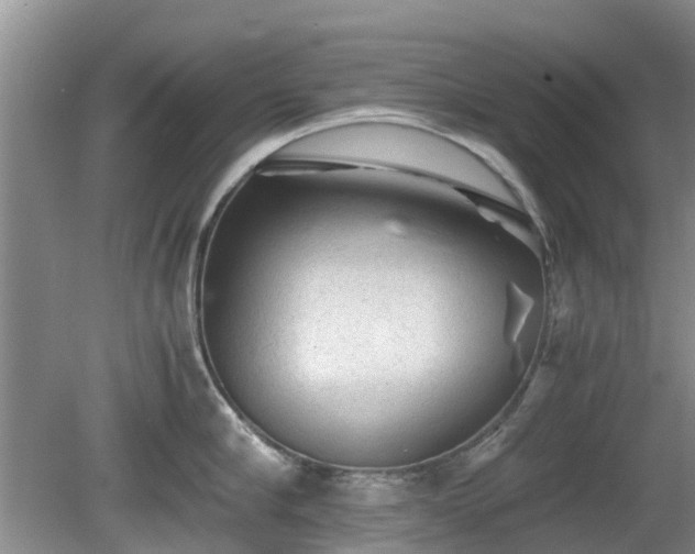 X0000081390910200701182229