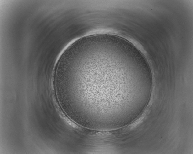 X0000081390912200701182229