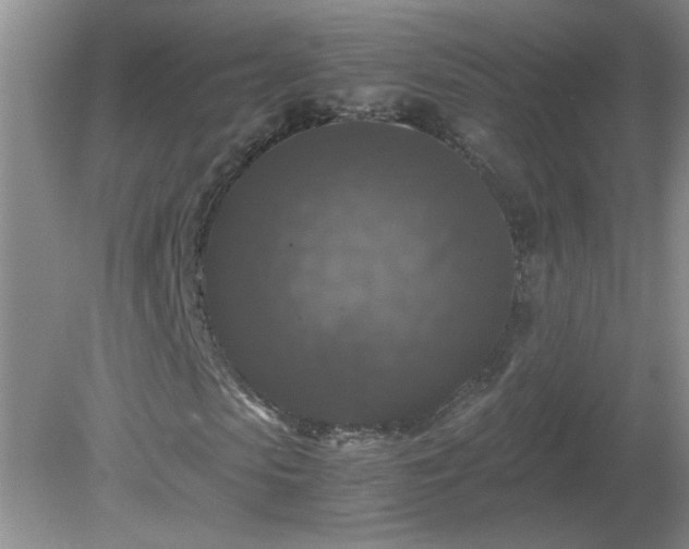 X0000081390913200701182228