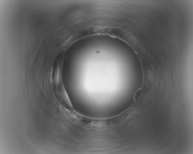 X0000081390914200701182228